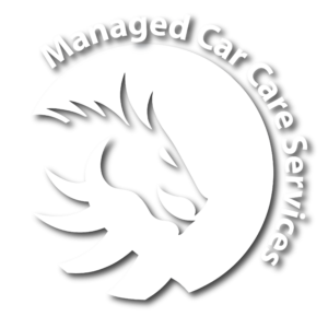 Managed Car Care Services white dragon logo